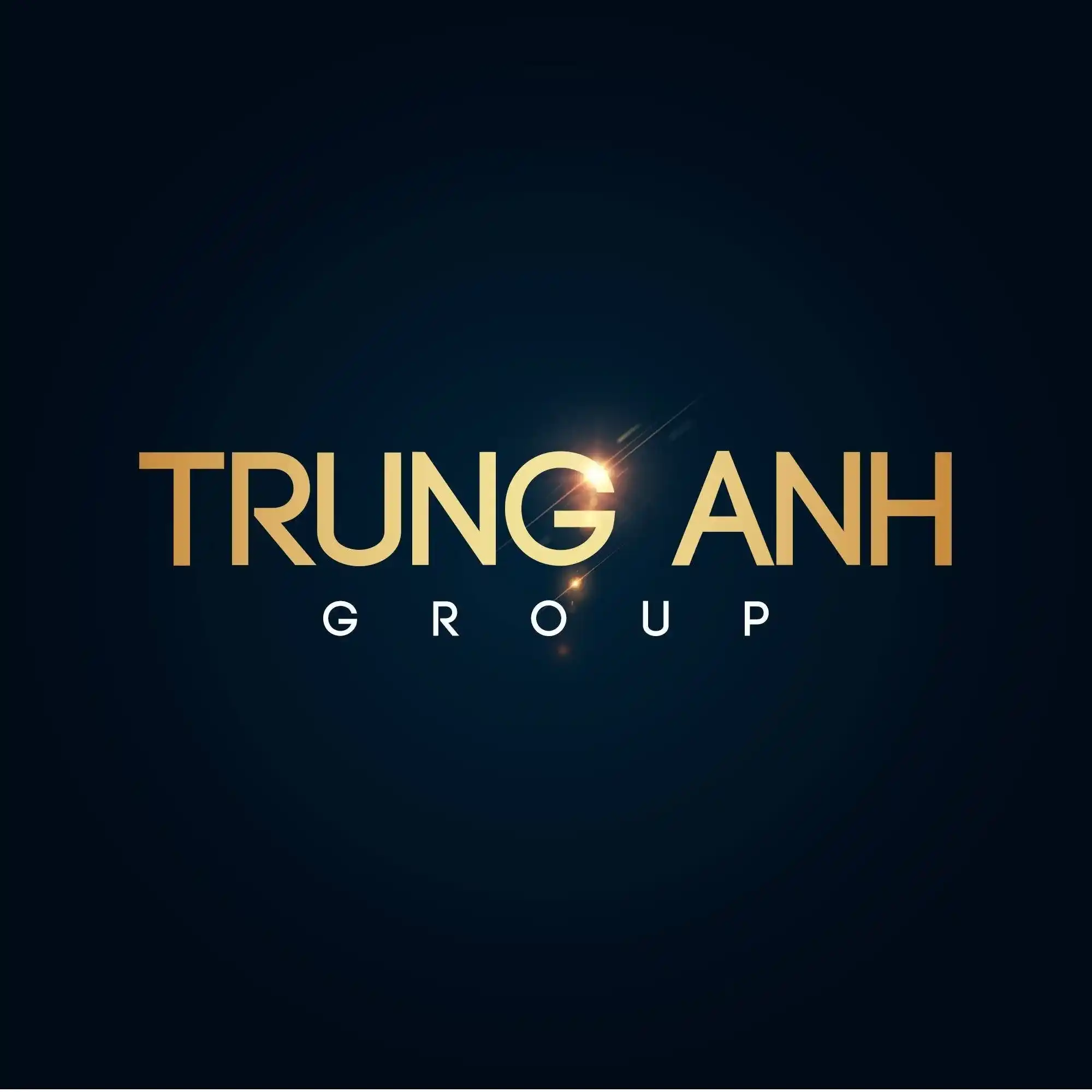 CÔNG TY TNHH THẨM ĐỊNH GIÁ VNG VIỆT NAM ĐƠN VỊ HÀNG ĐẦU TRONG LĨNH VỰC