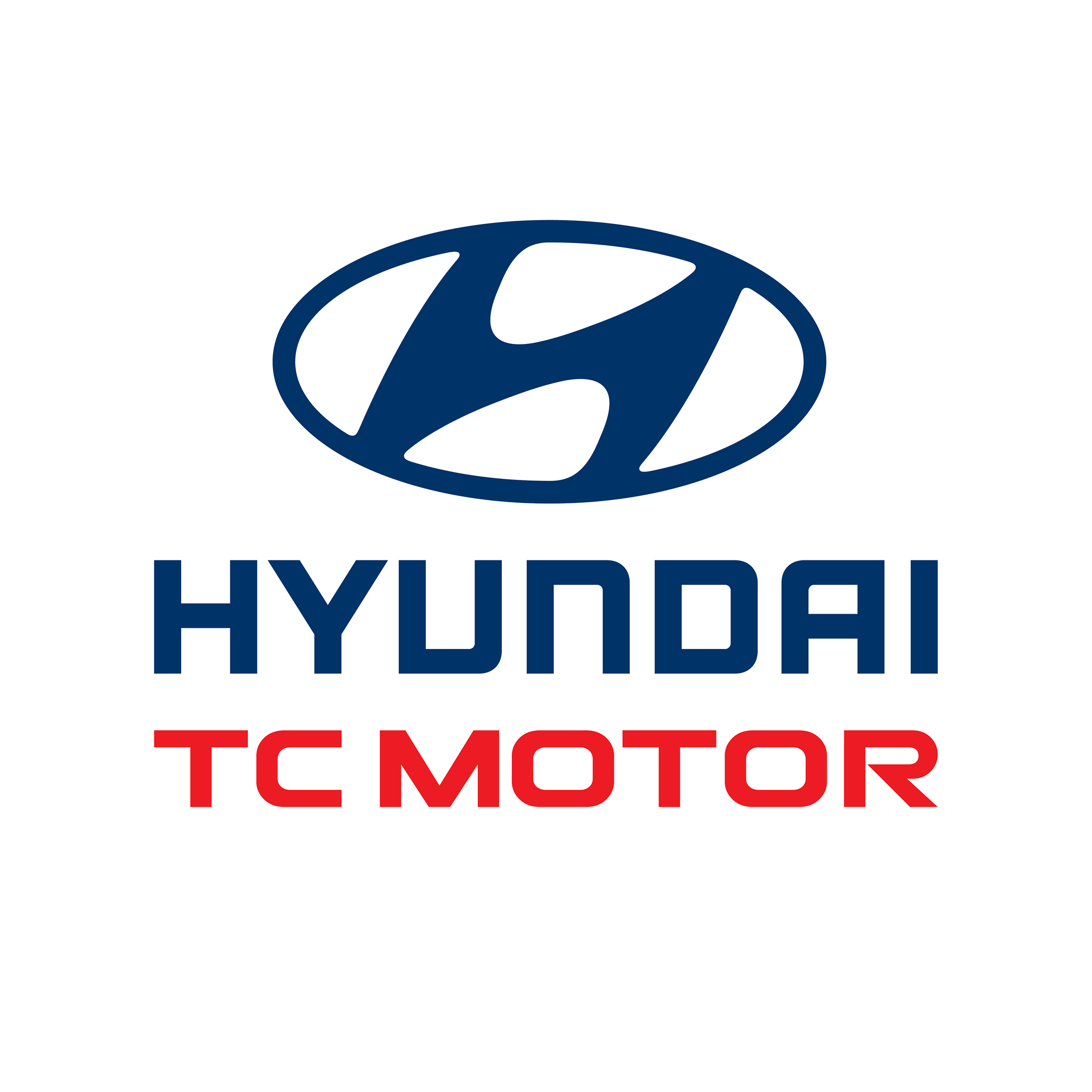 CÔNG TY CỔ PHẦN AUTO TRƯỜNG CHINH