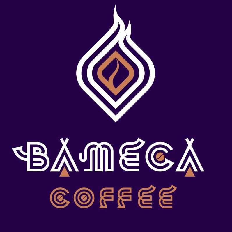 CÔNG TY TNHH BAMECA